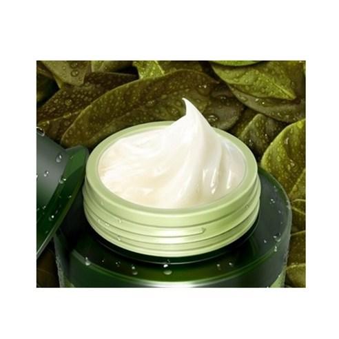 TONYMOLY The Chok Chok Green Tea Moisture Cream 100ml