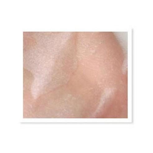 [all NATURAL] Organic Mask Sheet Houttuynia Cordata 25ml x 5ea