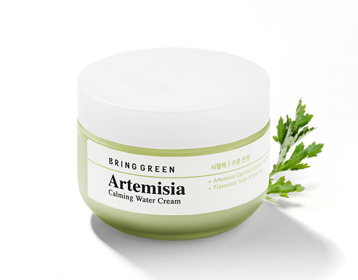 [BRING GREEN] Artemisia Calming Water Cream 75ml
