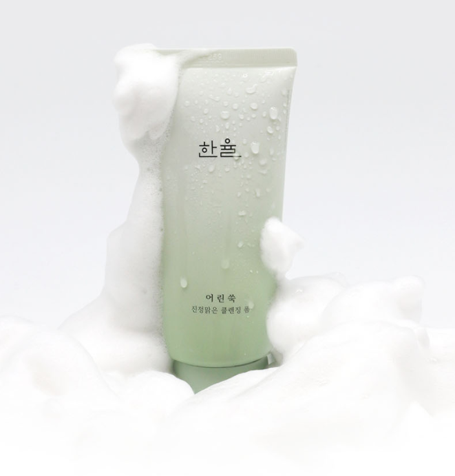 HANYUL Pure Artemisia Calming Foam Cleanser 120g