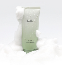 Load image into Gallery viewer, HANYUL Pure Artemisia Calming Foam Cleanser 120g
