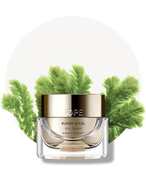IOPE SUPER VITAL EYE CREAM 25ml