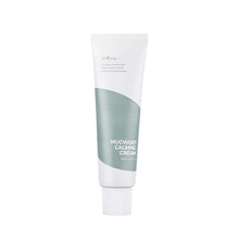 Load image into Gallery viewer, Isntree Mugwort Calming Cream 50ml
