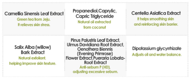 Isntree Green Tea Fresh Emulsion 120ml