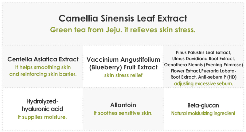 Isntree Green Tea Fresh Toner 200ml